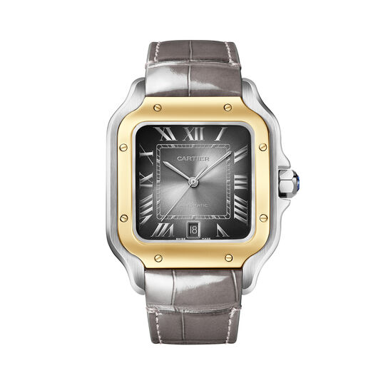 Cartier Santos de Cartier Large Automatic 40 mm Yellow Gold and Stainless Steel W2SA0030 image number 1